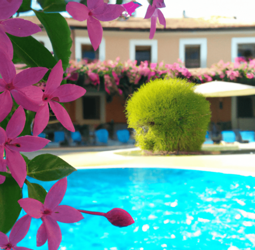 test del blog